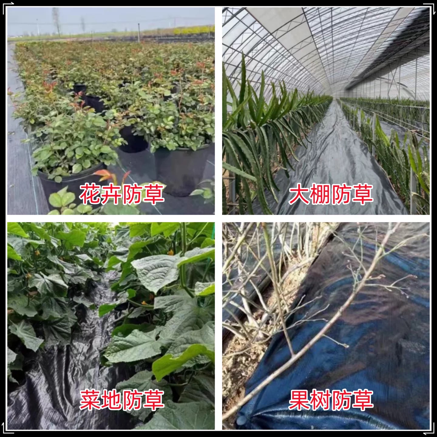 江门市防草布防草布 - 价格