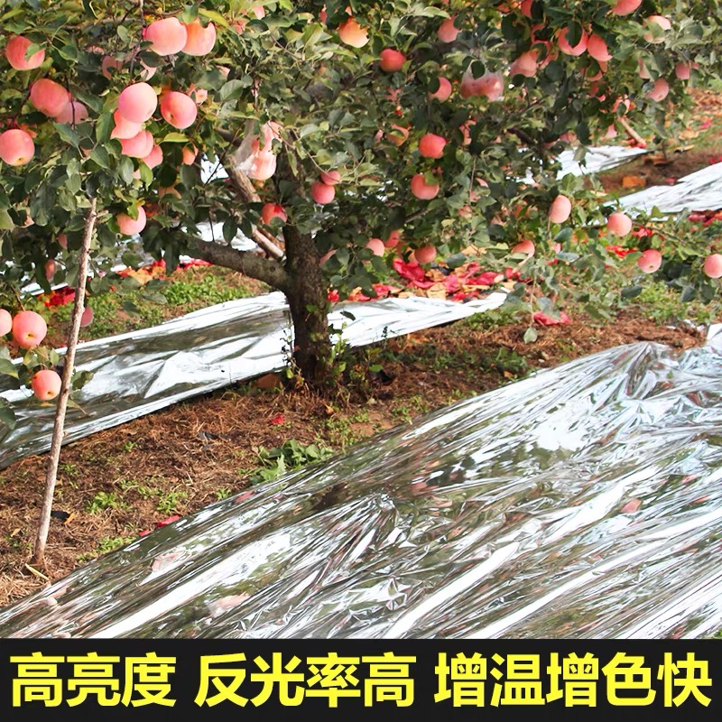 江门市农用薄膜果树反光膜 - 排名